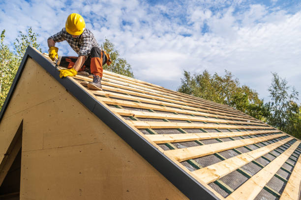 Best Roof Gutter Cleaning  in Groveland, FL