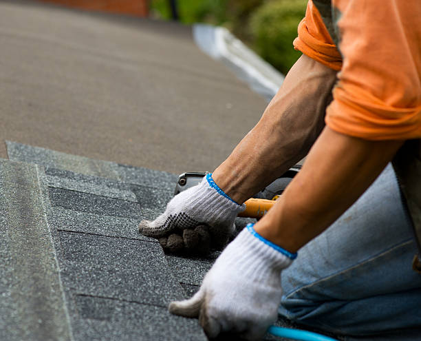 Best Storm Damage Roof Repair  in Groveland, FL